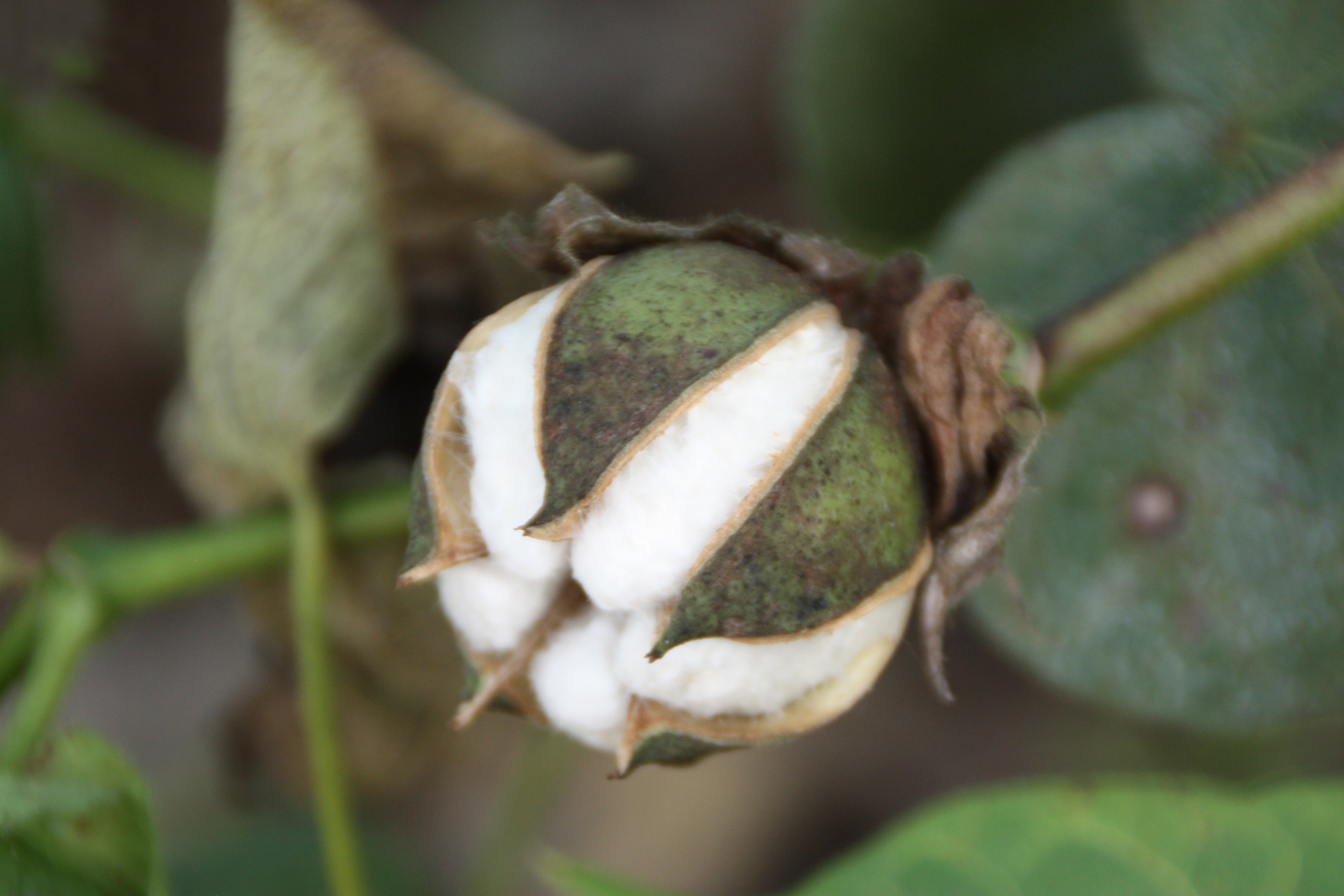 Seed&U PROGRAM