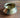Brass Degdi Vessel